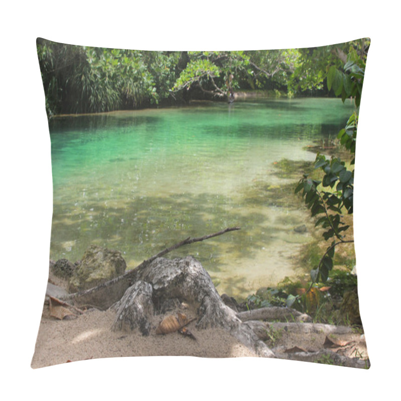 Personality  Cove Pillow Covers