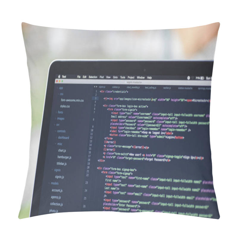 Personality  Software Project Using Javascript Pillow Covers