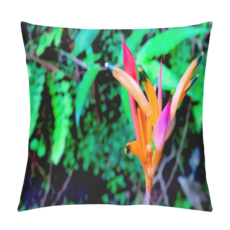 Personality  A Vibrant, Close-up View Of An Exotic Orange And Red Flower Surrounded By Lush Green Foliage, Showcasing The Beauty Of Nature In Vivid And Colorful Detail. Pillow Covers