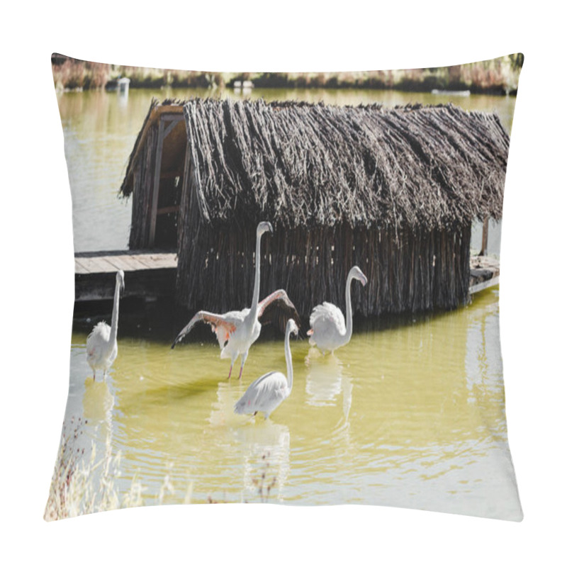 Personality  Pink Flamingos Walking In Pond Near Building  Pillow Covers