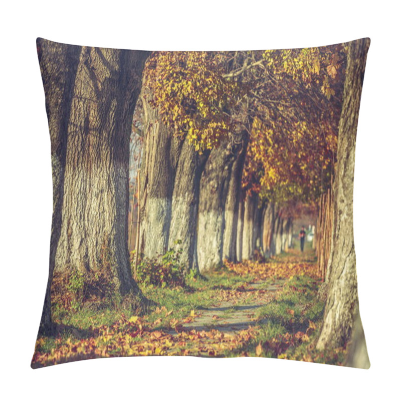 Personality  Serene Autumn Landscape Pillow Covers