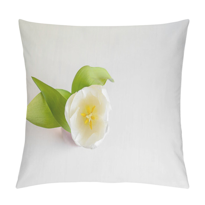 Personality  Top View Of White Tulip Flower Head With Petals, Pollen And Green  Leaves Against White Wooden Background Traditionally Presented As A Gift In Spring Season. Image With Copy Space, Horizontal Pillow Covers