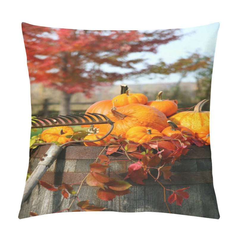 Personality  Rake And Pumpkins Pillow Covers