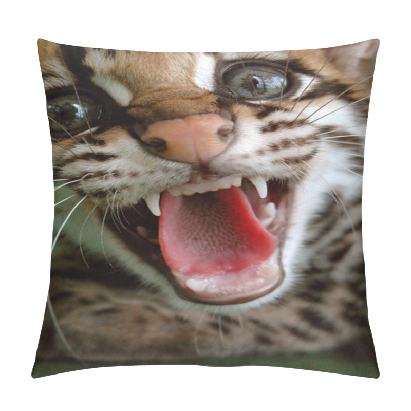 Personality  The Ocelot Or Dwarf Leopard (Leopardus Pardalis) That Lives In S Pillow Covers