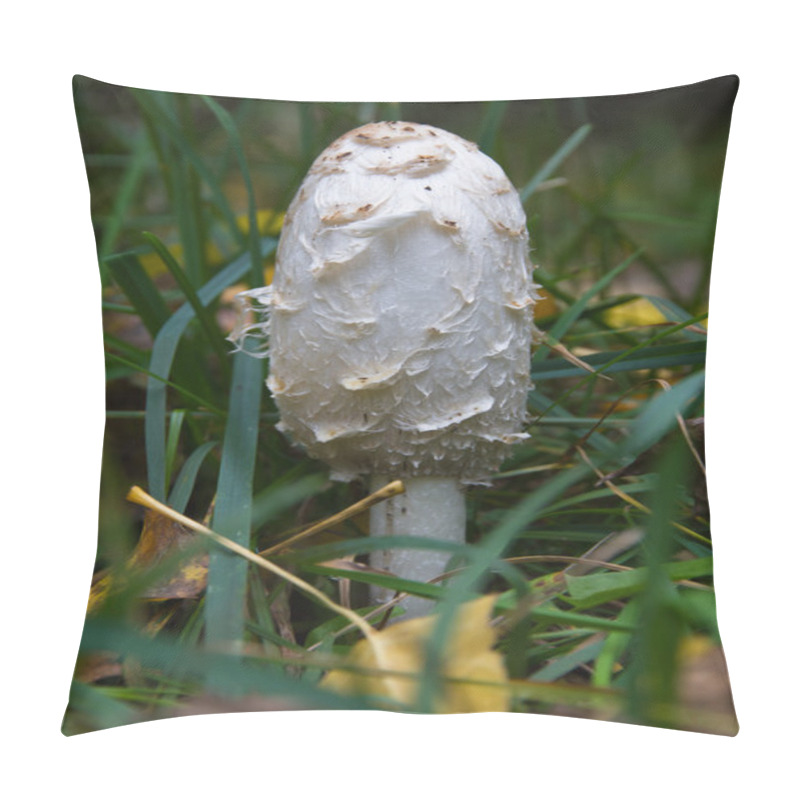 Personality  Mushroom Coprinus Comatus Pillow Covers