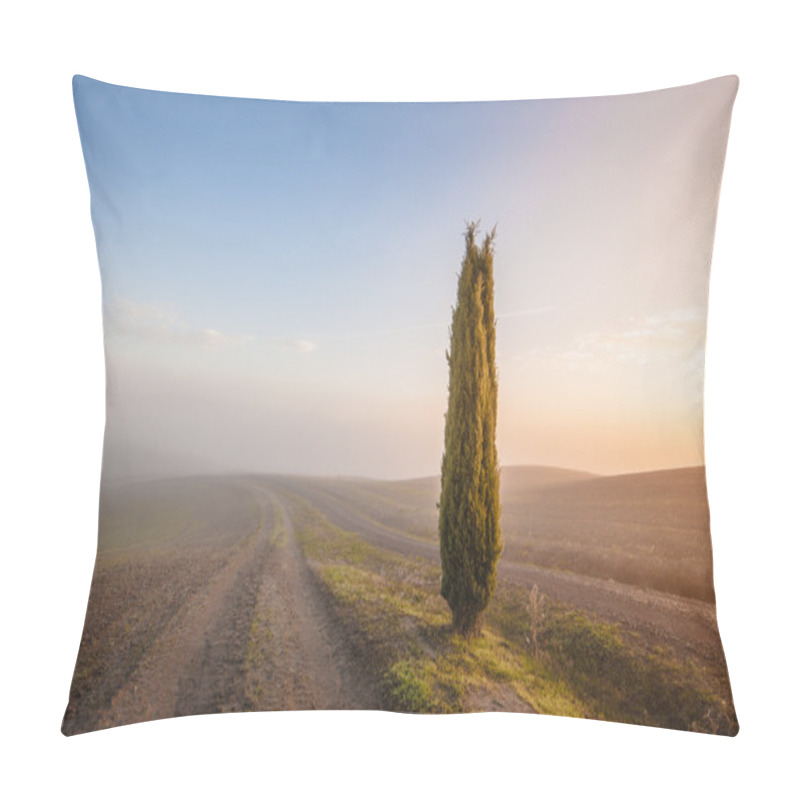 Personality  Tuscan Cypress Trees On The Fields In A Fantastic Light Of The R Pillow Covers