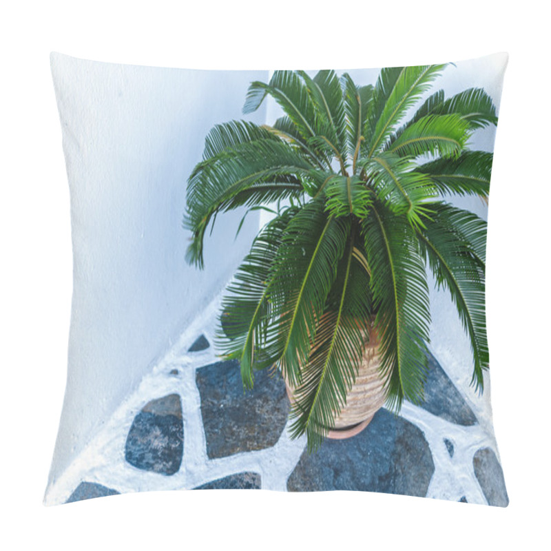 Personality  A Small Palm Tree In Flowerpot Pillow Covers