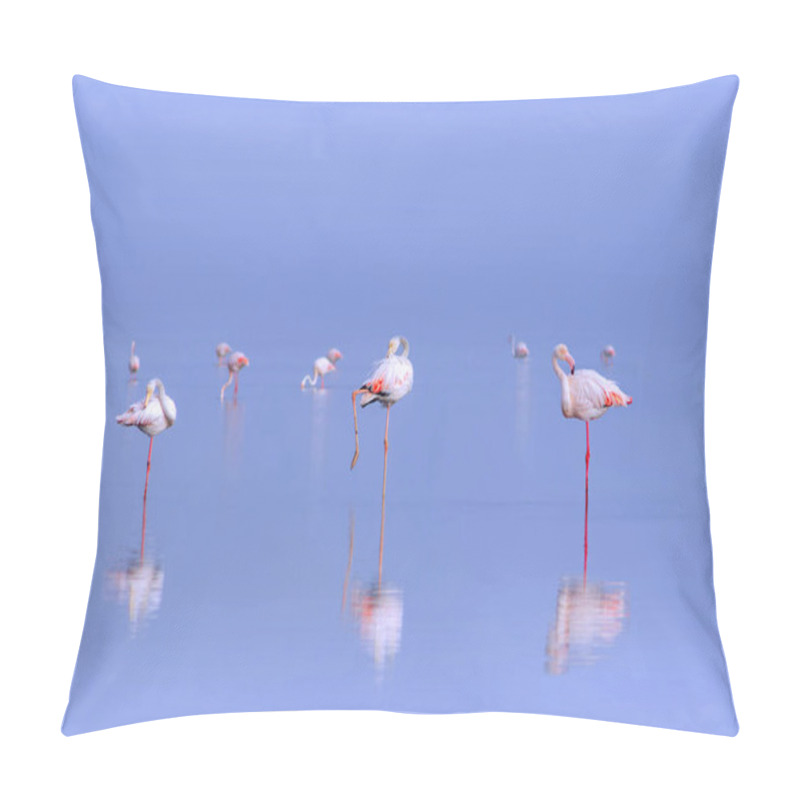 Personality  Wild African Birds. Group Birds Of Pink African Flamingos  Walking Around The Blue Lagoon On A Sunny Day Pillow Covers