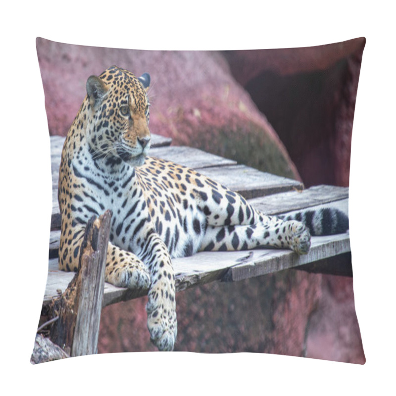 Personality  The Jaguar (Panthera Onca) Preys On Mammals, Reptiles, And Fish. Photo Taken In The Amazon Rainforest. Pillow Covers