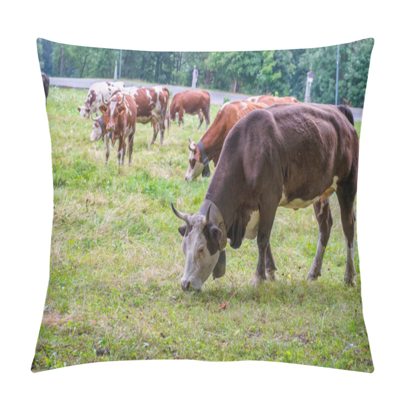 Personality  Group Of Grazing Cows, Over An Alpine Meadow Of Northern Italy (Piedmont, Biella Province). Pillow Covers