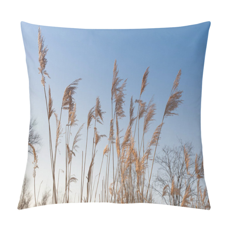 Personality  Dry Reed Sways In The Wind Pillow Covers