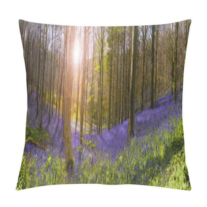 Personality  Sunlight Illuminates Peaceful Bluebell Woods Pillow Covers