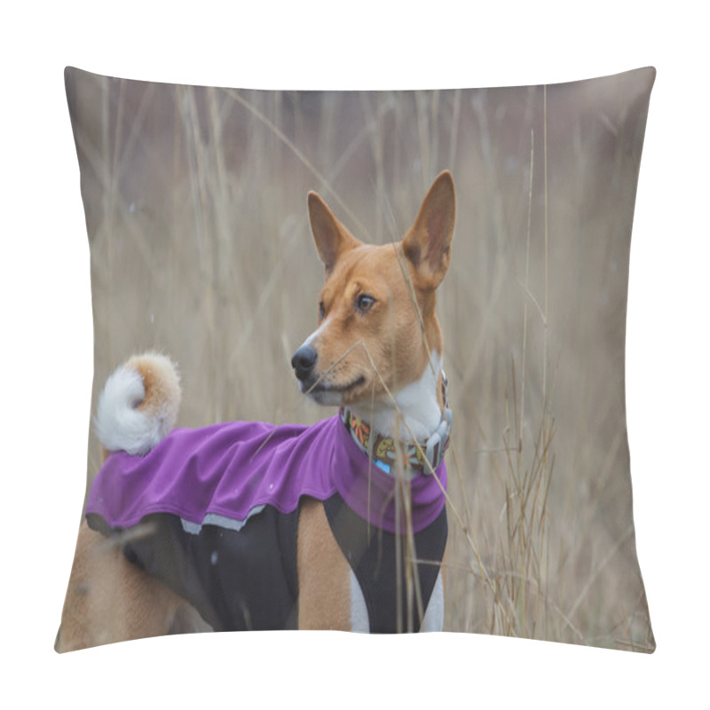 Personality  Portrait Of A Basenji Dog In Clothes Pillow Covers