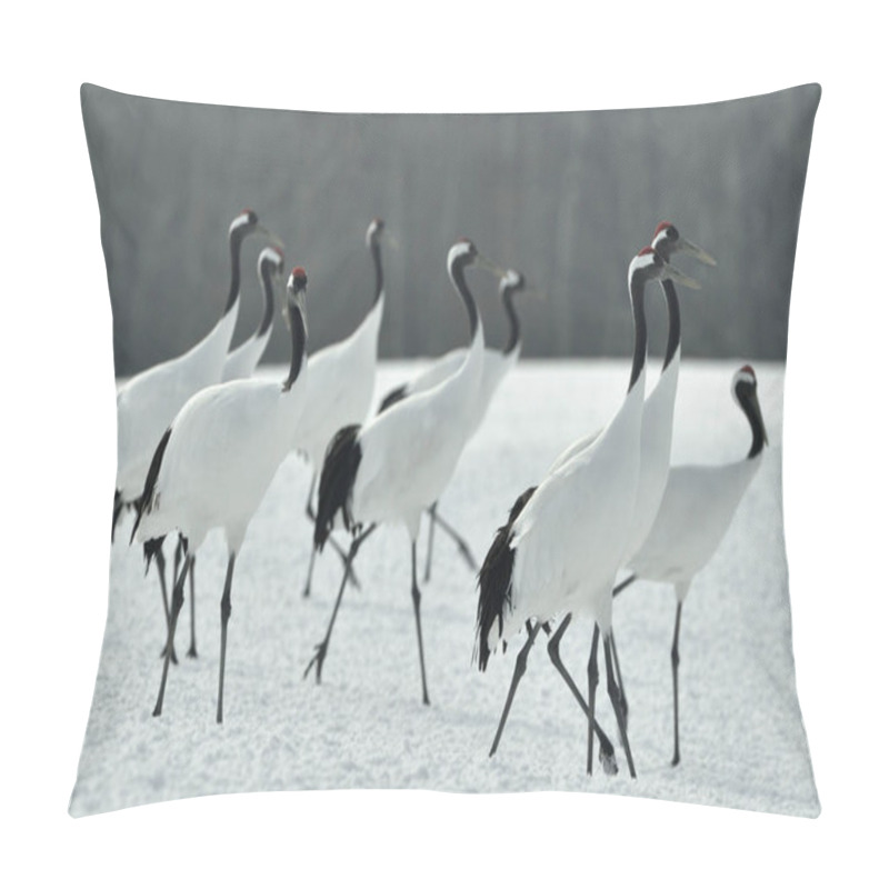 Personality  Japanese Cranes In Snow. The Red-crowned Crane. Scientific Name: Grus Japonensis, Also Called The Japanese Crane Or Manchurian Crane, Is A Large East Asian Crane. Pillow Covers