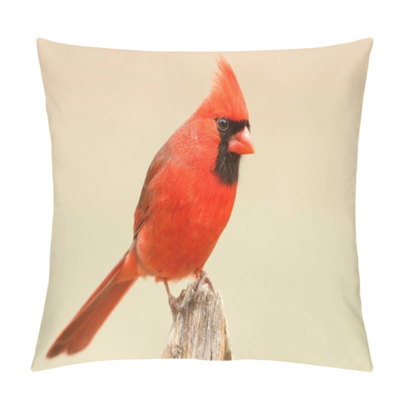 Personality  Male Cardinal On A Fence Pillow Covers