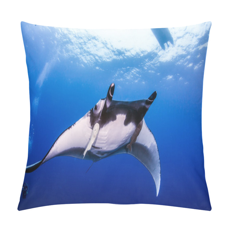 Personality  Manta Ray At Islas Revillagigedos, Mexico Pillow Covers