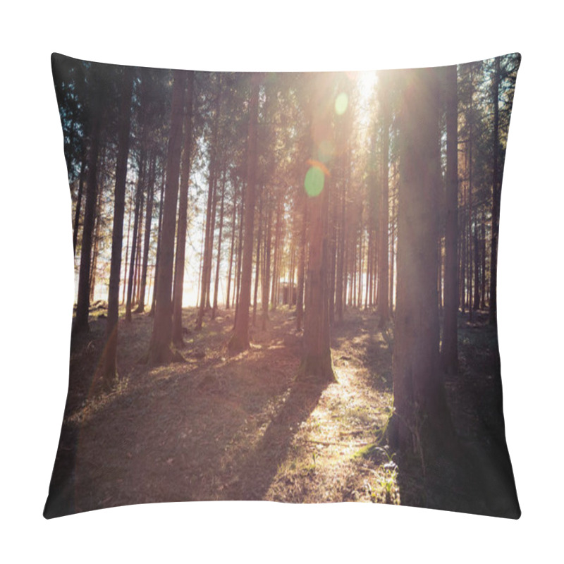 Personality  Magical Sunset And Sunbeams In The Woodland, Spring Time. Tree Trunks And Light. Pillow Covers