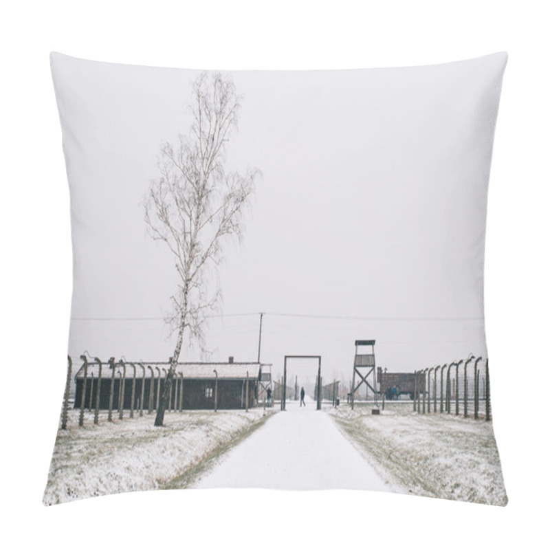 Personality  Concentration Camp Of Auschwitz Birkenau Pillow Covers