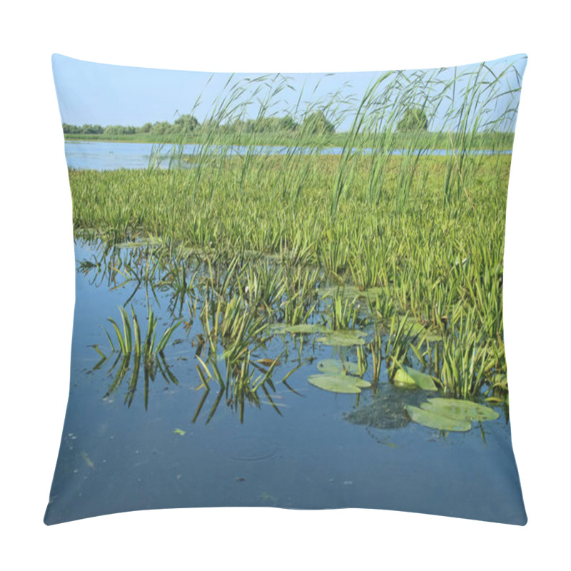 Personality  Aquatic Plants Of The Marshy Areas Of The Danube Delta. Stratiotes Aloides, Commonly Known As Water Soldiers Or Water Pineapple From The Inner Delta Lagoons In The Romania Area Near Tulcea. Pillow Covers