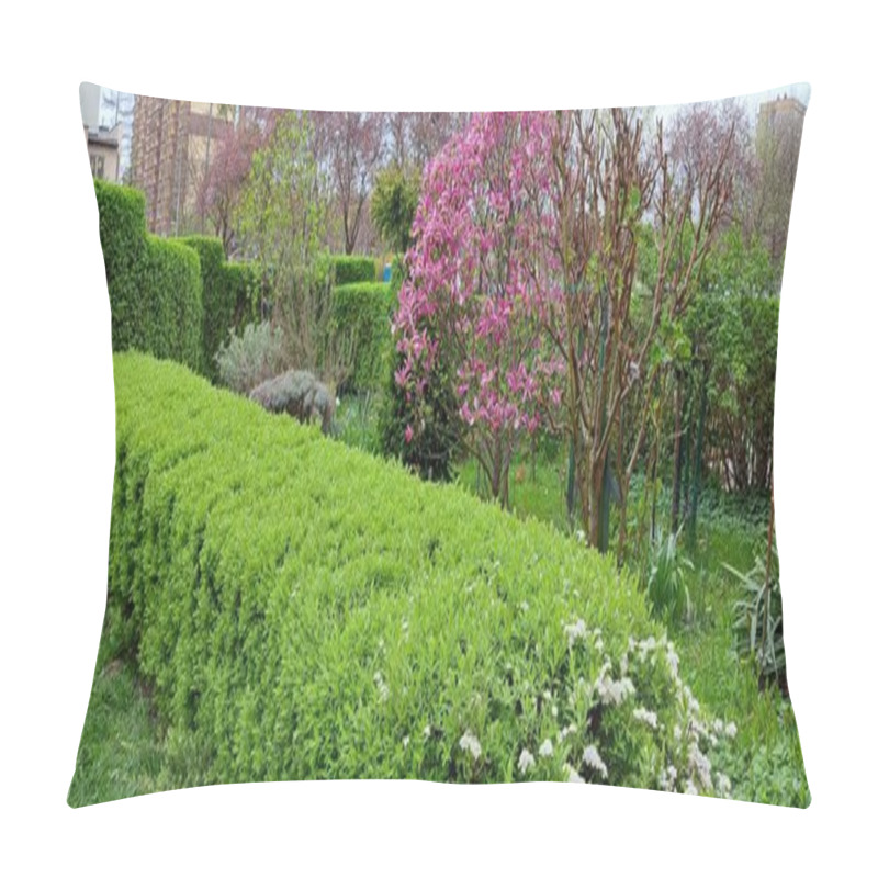 Personality  Magnolia In Flower Bed With Spring Blooms Pillow Covers