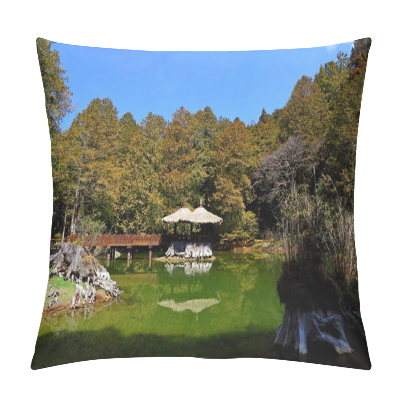 Personality  Jiemei (Sister) Lakes, Sisters Pond In In Alishan National Forest Recreation Area, Situated In Alishan Township, Chiayi , TAIWAN Pillow Covers