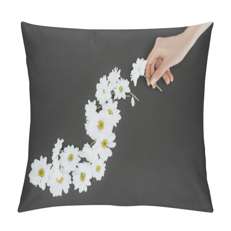 Personality  Top View Of Cropped Female Hand With Daisies Over Black Background Pillow Covers