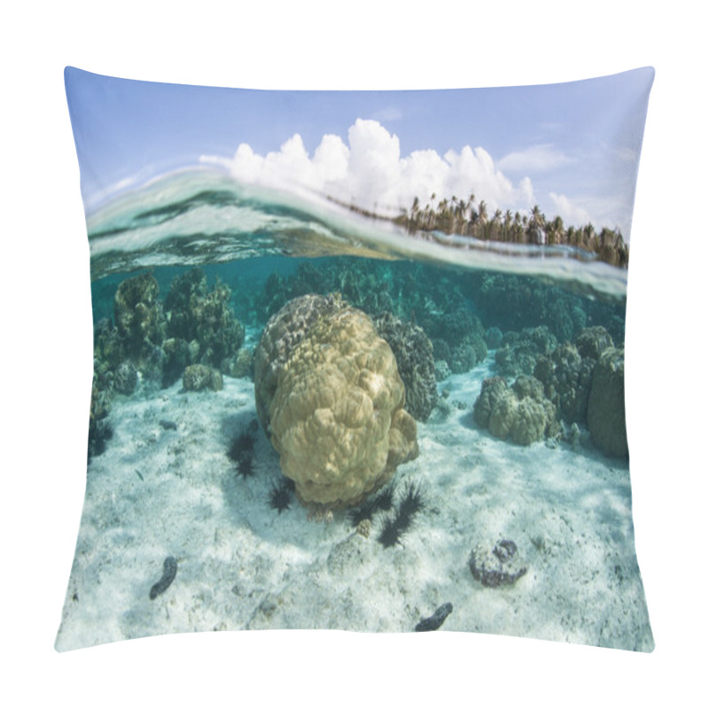 Personality  Reef-building Coral Colonies Pillow Covers