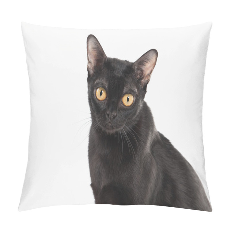 Personality  Black Traditional Bombay Cat On White Background Pillow Covers