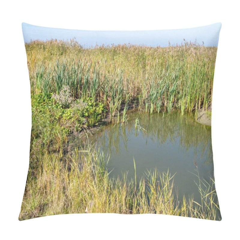 Personality  Swamp Vegetation, Reeds And Shallow Pool In Marshland Of Marker Wadden Island, Netherlands Pillow Covers