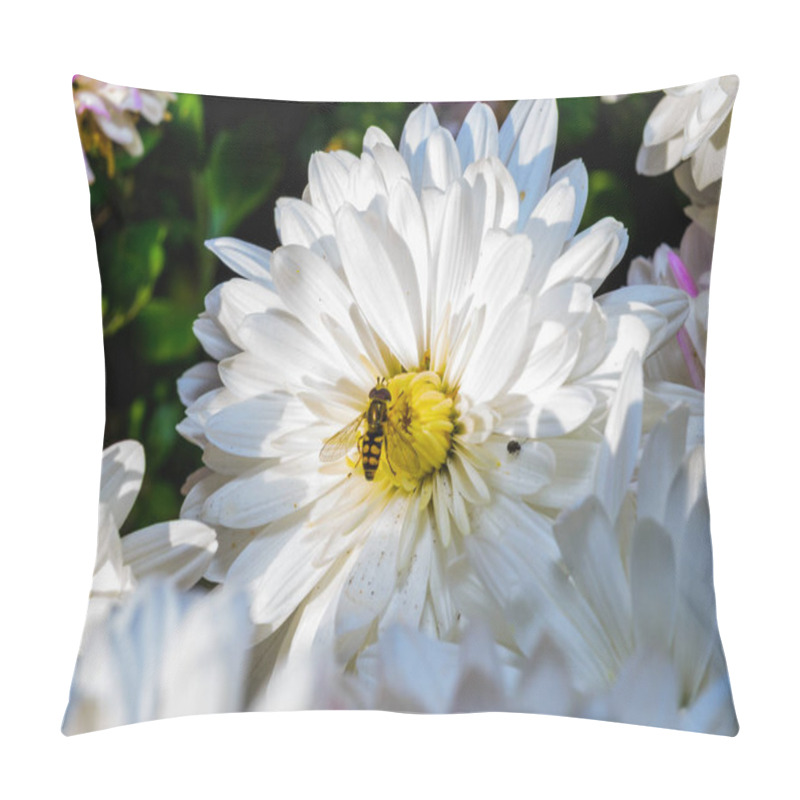 Personality  Flower Fly Hoverfly Collects Nectar On Autumn Flowers Chrysanthemum In The Garden Pillow Covers