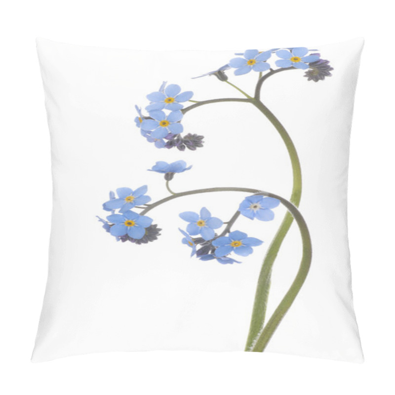 Personality  Forget Me Not Pillow Covers