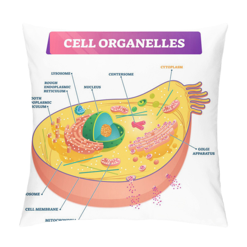 Personality  Cell Organelles Biological Anatomy Vector Illustration Diagram Pillow Covers