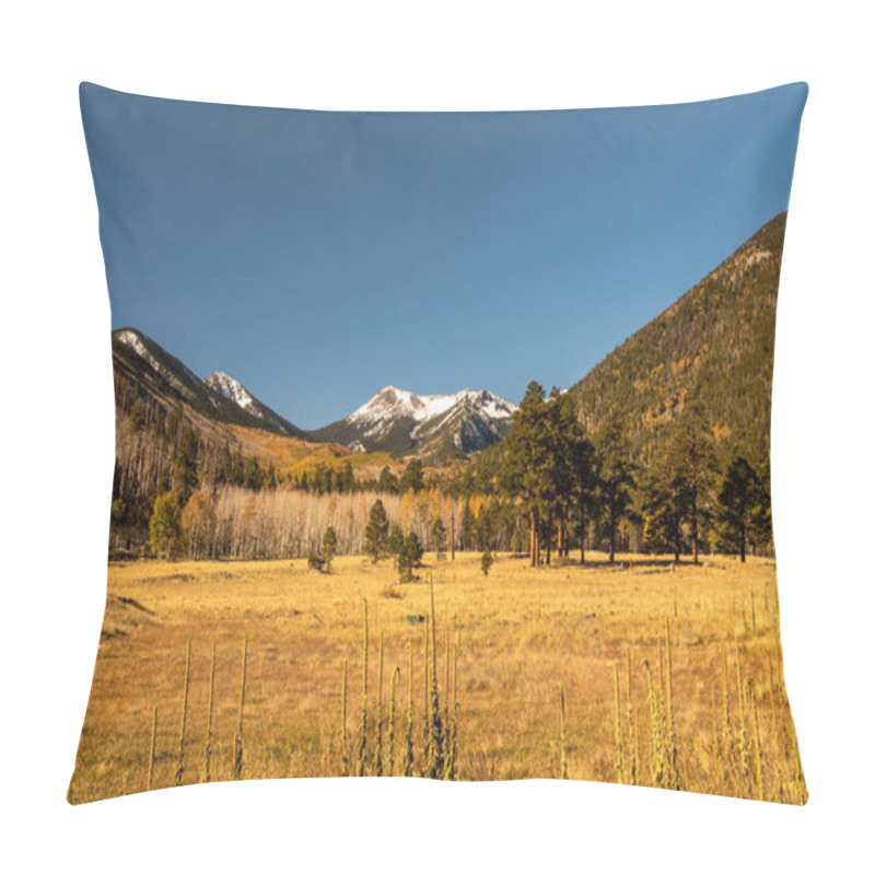 Personality  Lockett Meadow In Flagstaff, Arizona During Fall Season Pillow Covers