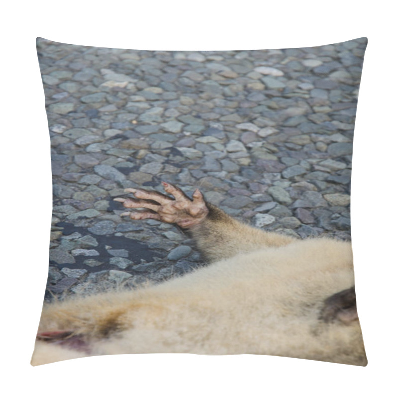 Personality  Front Leg Of A Common Brushtail Possum Run Over. Pillow Covers