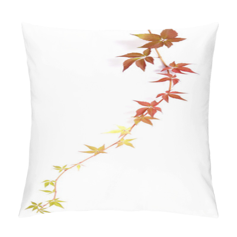 Personality  Bindweed Pillow Covers