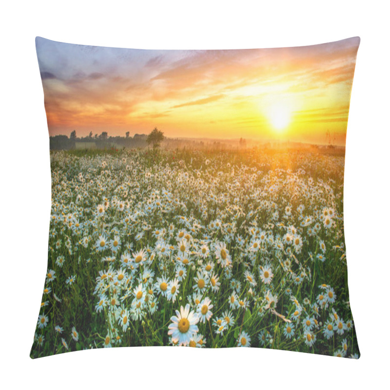 Personality  Beautiful Summer Sunrise Over Daisy Field Pillow Covers