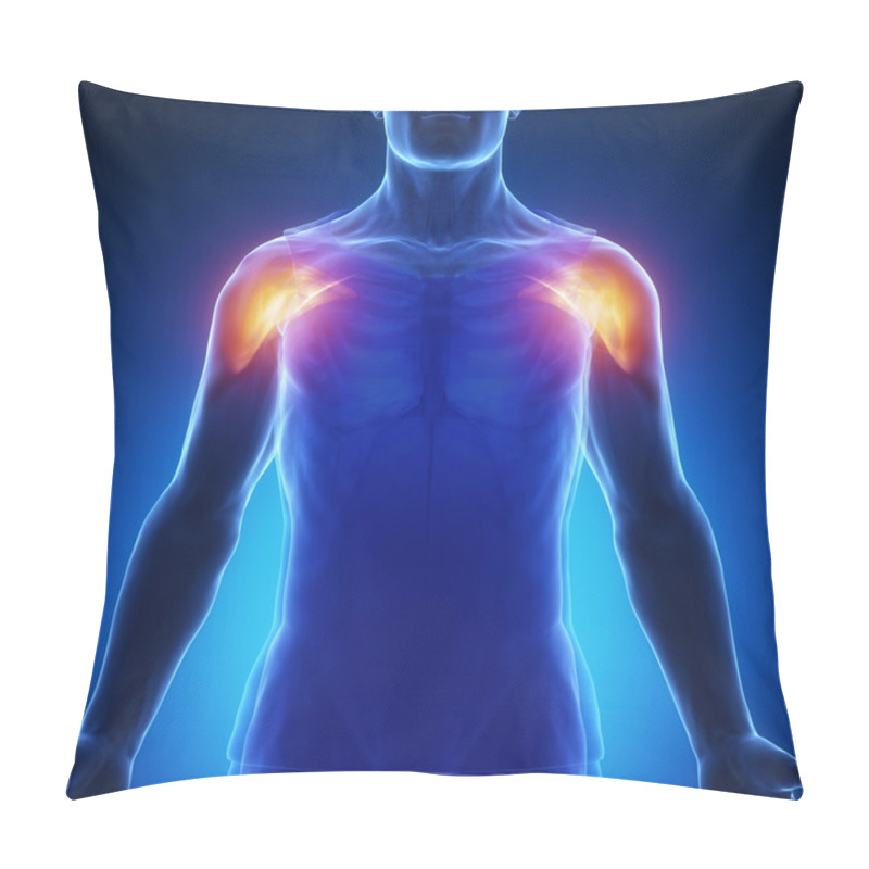 Personality  Muscles Anatomy Map Pillow Covers