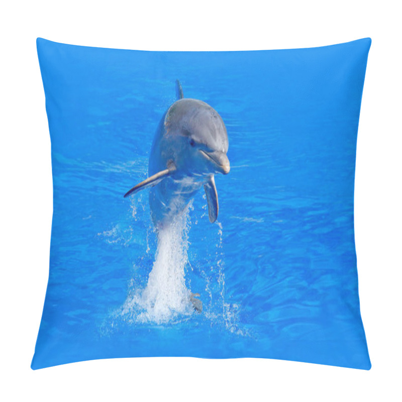 Personality  Bottlenosed Dolphin In Blue Water Pillow Covers