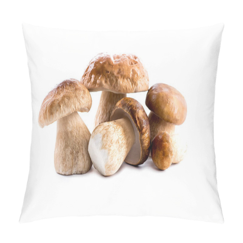 Personality  Group Boletus Mushroom Isolated On White Background.Boletus Mush Pillow Covers