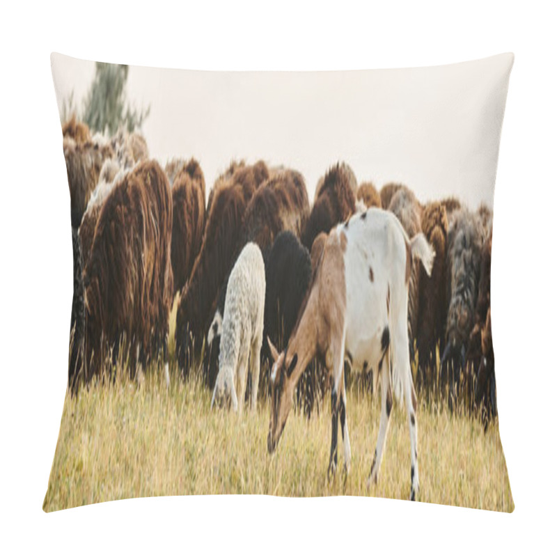 Personality  Huge Lively Cattle Of Cute Sheeps And Goats Grazing Fresh Weeds While In Scenic Spring Field, Banner Pillow Covers