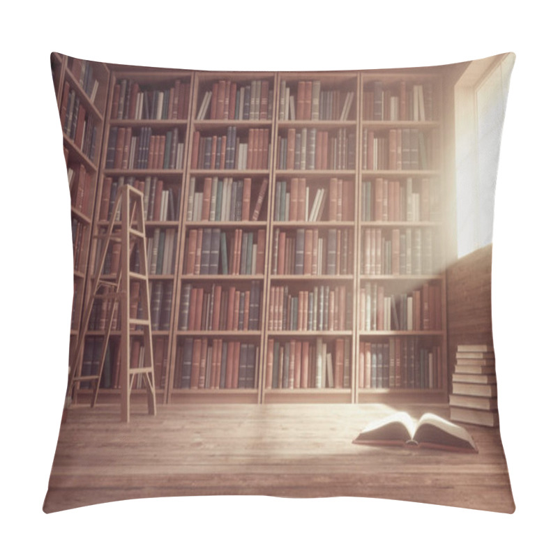 Personality  Bookshelves In The Library. This Is A 3d Render Illustration Pillow Covers