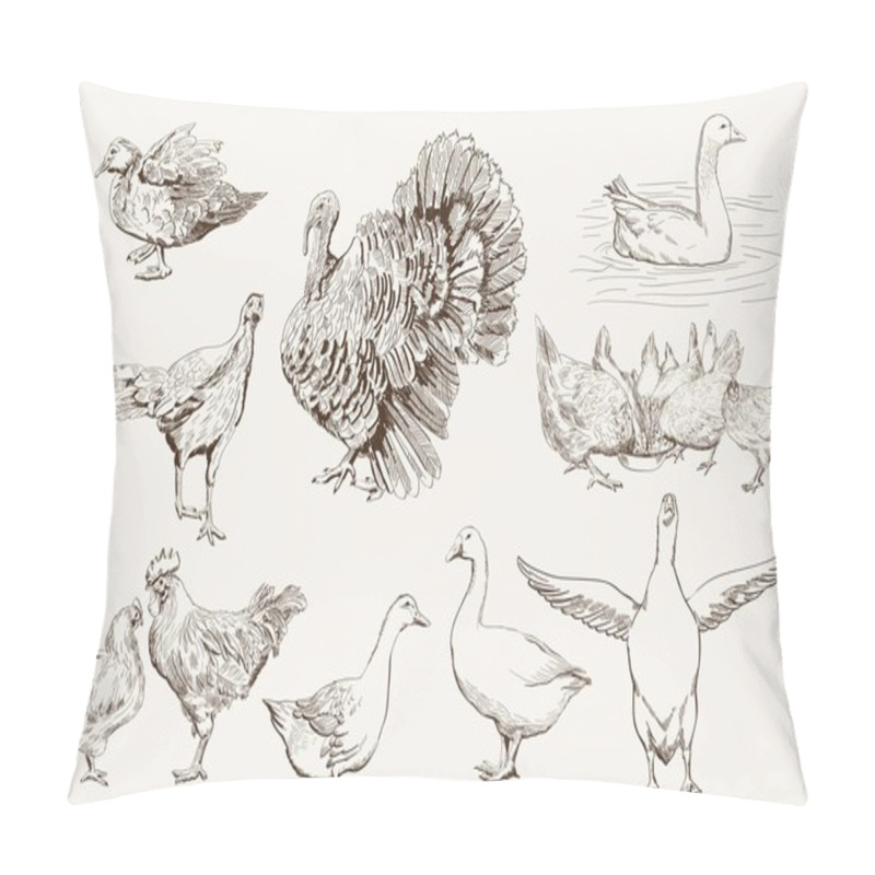 Personality  Aviculture Pillow Covers