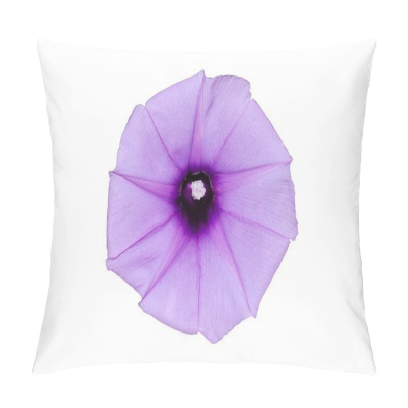 Personality  Morning Glory Pillow Covers