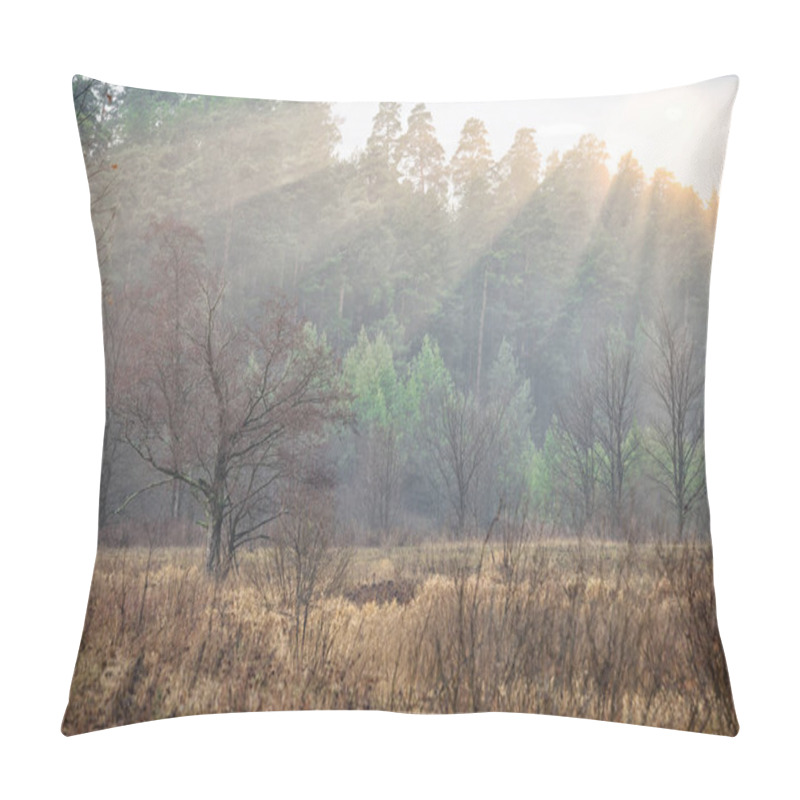 Personality  Portrait Of A Young Man In A Business Suit At The Top Of The Mountain On The Background Of Mountains And Blue Sky On A Sunny Summer Day Pillow Covers