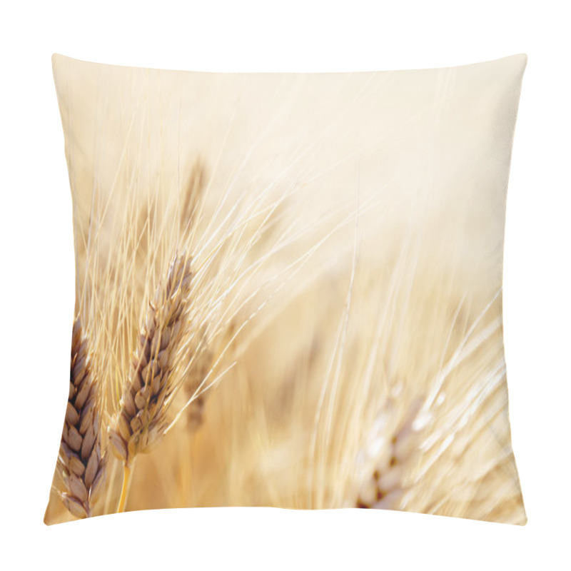 Personality  Wheat Field Pillow Covers