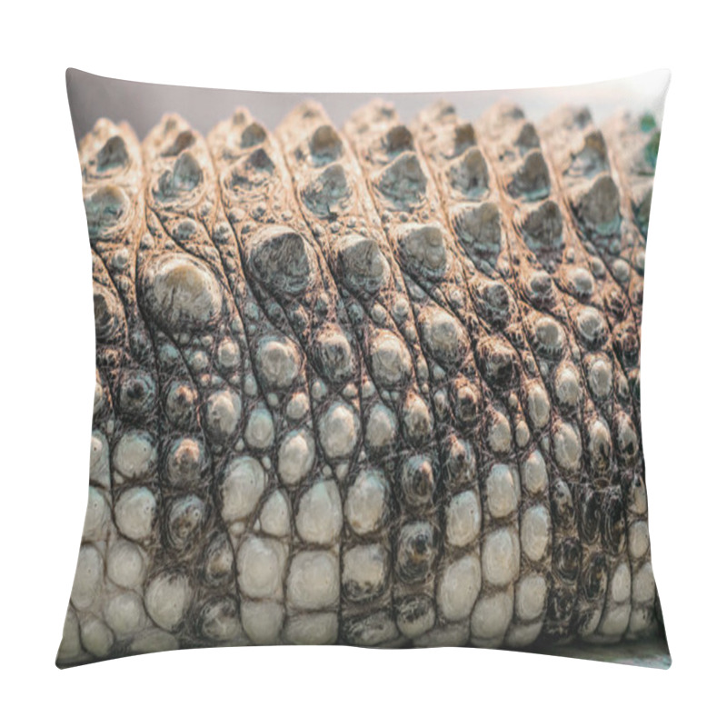 Personality  Alligator Crocodile Skin Detail Pattern Close Up Pillow Covers