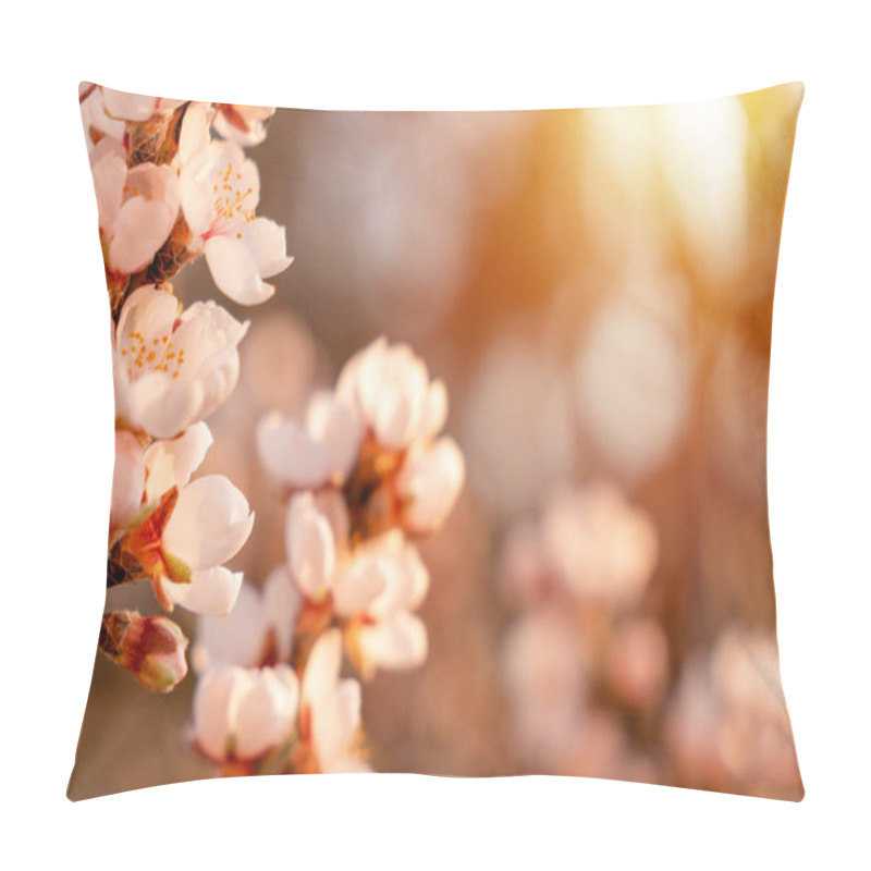 Personality  Flowers Of The Almond Tree Against The Sunset. Beautiful Nature Scene With Blooming Tree And Sun Flare. Spring Flowers. Beautiful Orchard. Springtime Space For Text. Pillow Covers