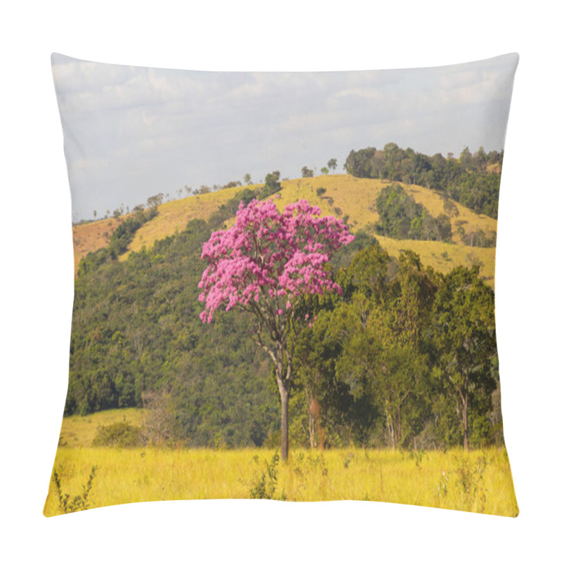 Personality  A Flowering Purple Ipe In The Middle Of The Pasture Seen From The Side Of The Road. Pillow Covers