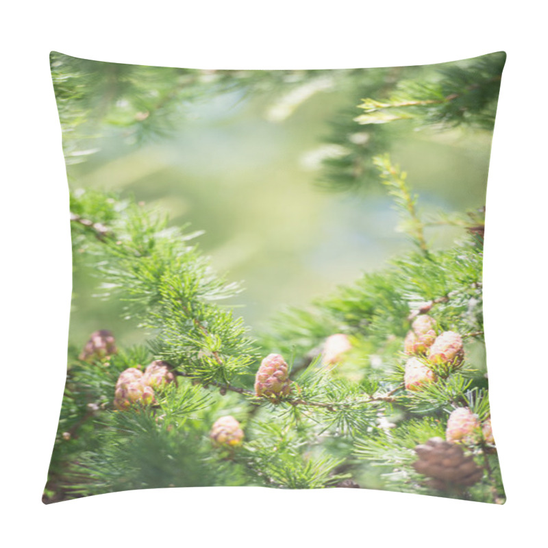 Personality  Young Larch Cone, Larch Tree Pillow Covers