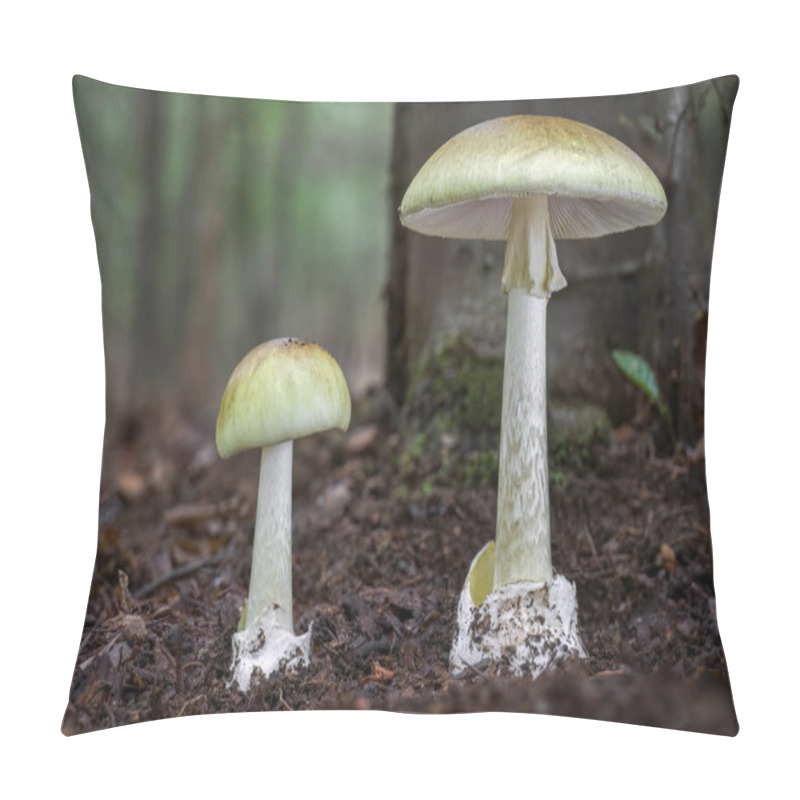 Personality  Amanita Phalloides Commonly Known As Death Cap - Deadly Poisonous Mushroom. Czech Republic, Europe Pillow Covers